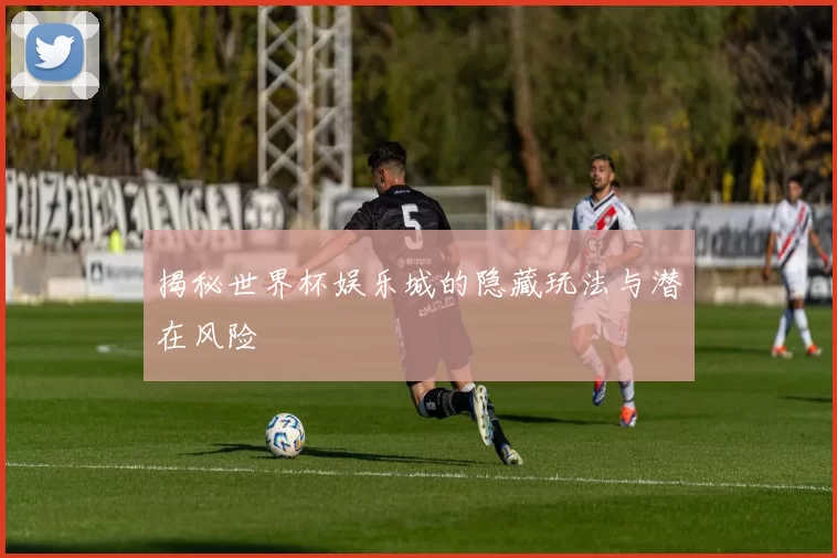 揭秘世界杯娱乐城的隐藏玩法与潜在风险