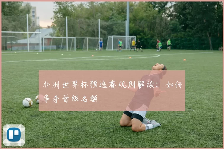 非洲世界杯预选赛规则解读:如何争夺晋级名额
