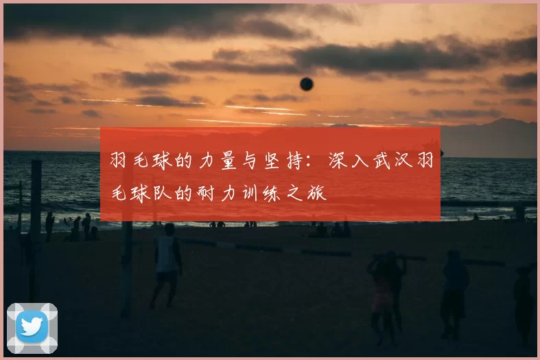羽毛球的力量与坚持:深入武汉羽毛球队的耐力训练之旅