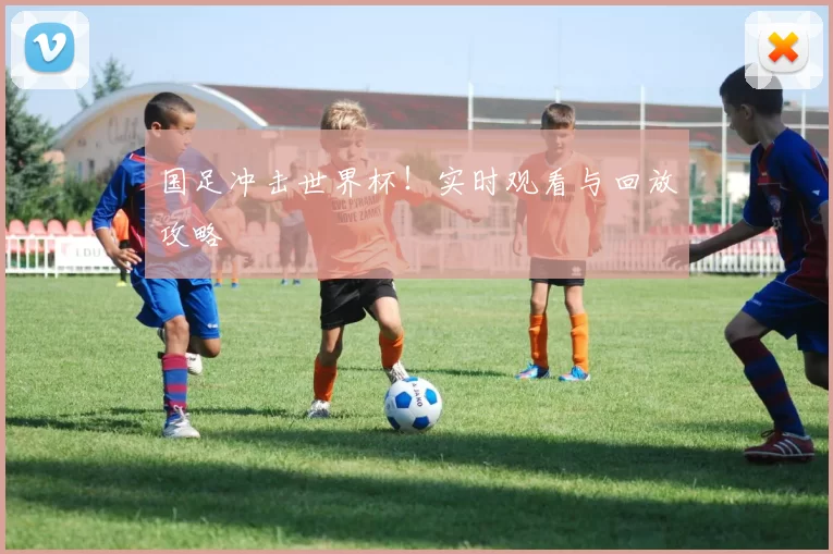 国足冲击世界杯！实时观看与回放攻略