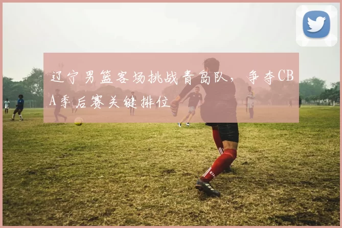 辽宁男篮客场挑战青岛队，争夺CBA季后赛关键排位
