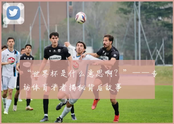 “世界杯是什么意思啊？”——专访体育学者揭秘背后故事