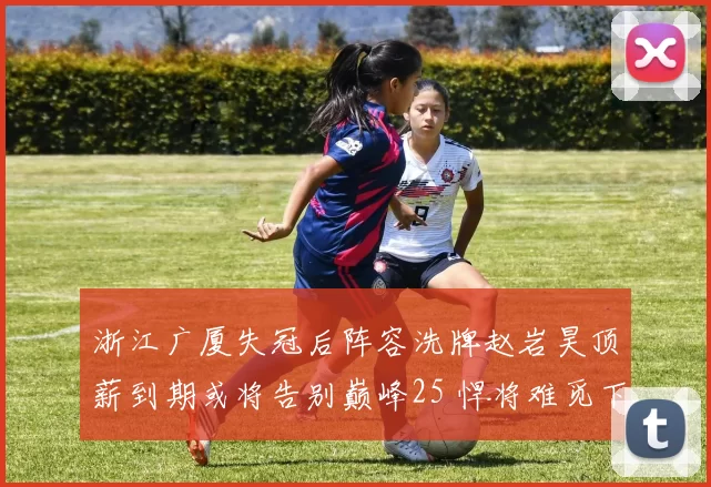 浙江广厦失冠后阵容洗牌赵岩昊顶薪到期或将告别巅峰25 悍将难觅下家