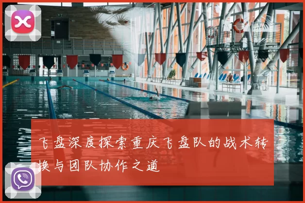 飞盘深度探索重庆飞盘队的战术转换与团队协作之道