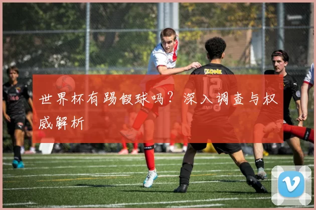 世界杯有踢假球吗？深入调查与权威解析