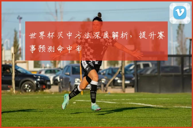 世界杯买中方法深度解析，提升赛事预测命中率