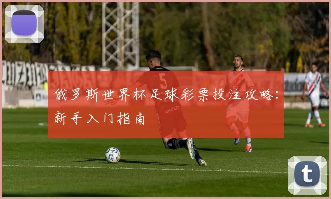 俄罗斯世界杯足球彩票投注攻略：新手入门指南
