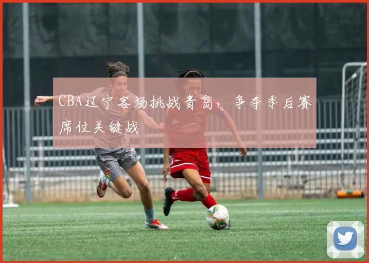 CBA辽宁客场挑战青岛，争夺季后赛席位关键战