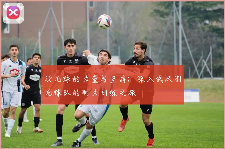 羽毛球的力量与坚持：深入武汉羽毛球队的耐力训练之旅